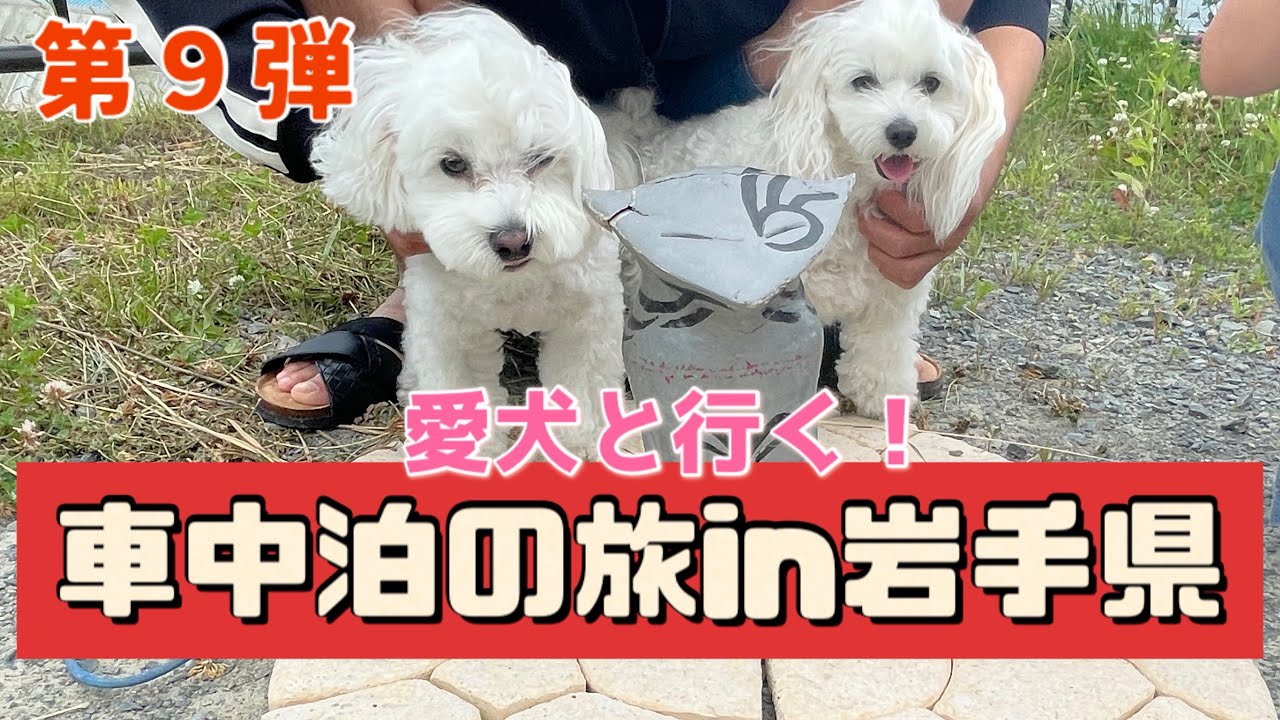 【車中泊】愛犬と行く！すずめの戸締り巡礼の旅！in岩手県