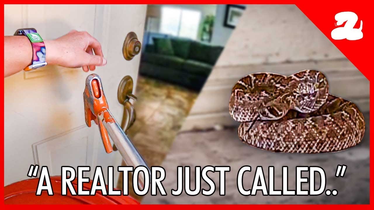Home Inspector Finds a Rattlesnake in a Cupboard