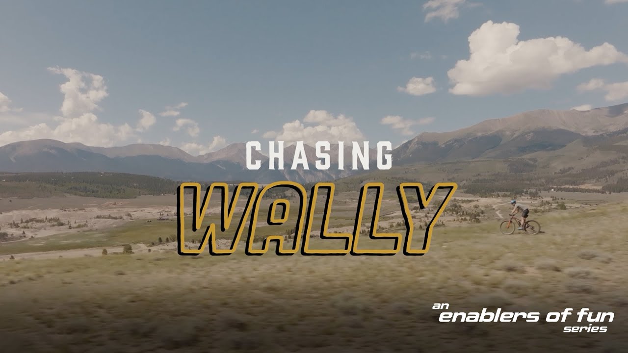 Chasing Wally