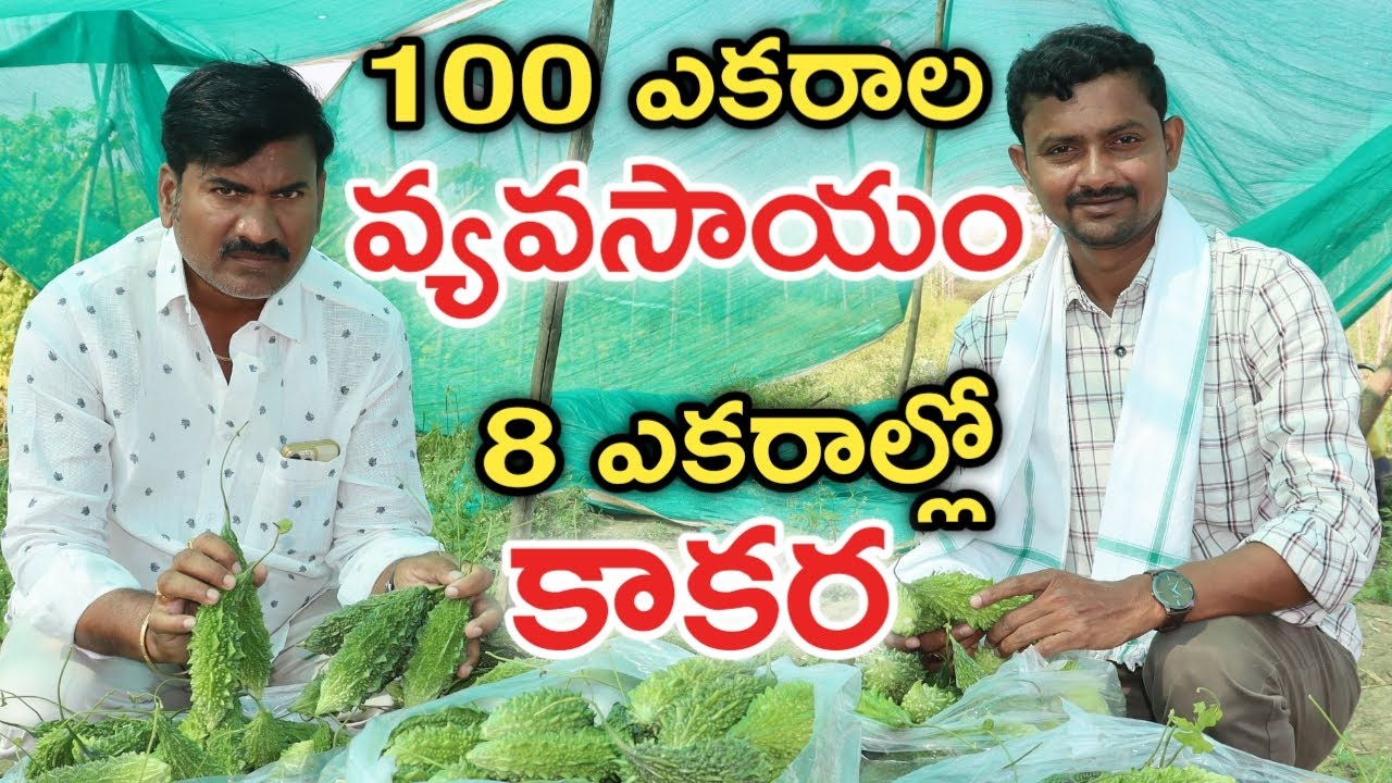 100 ఎకరాల్లో వ్యవసాయం.. టమాటాతో 2 కోట్ల లాభం | రైతు బడి