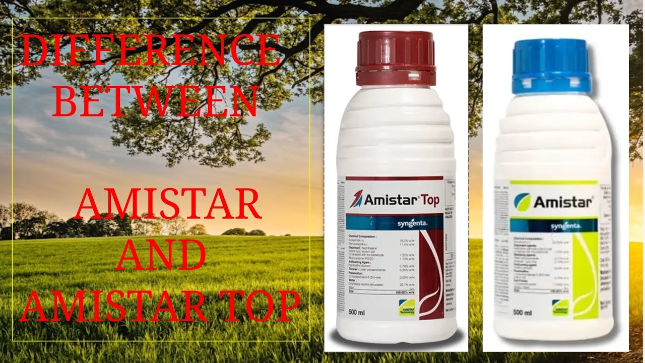 Difference between AMISTAR and AMISTAR TOP /FARMERS MUST WATCH @syngenta 