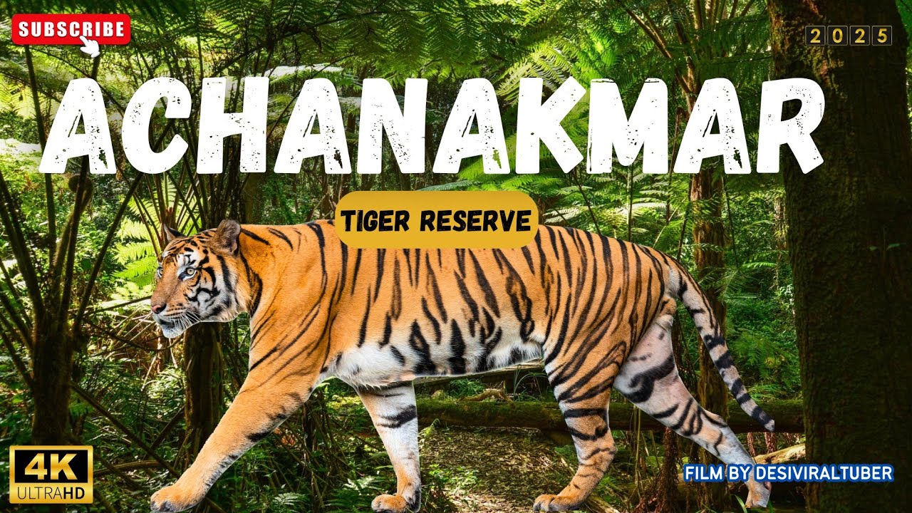 Achanakmar Tiger Reserve Bilaspur | Achanakmar Tour 2025 | Best Tourist attractions near Bilaspur | 