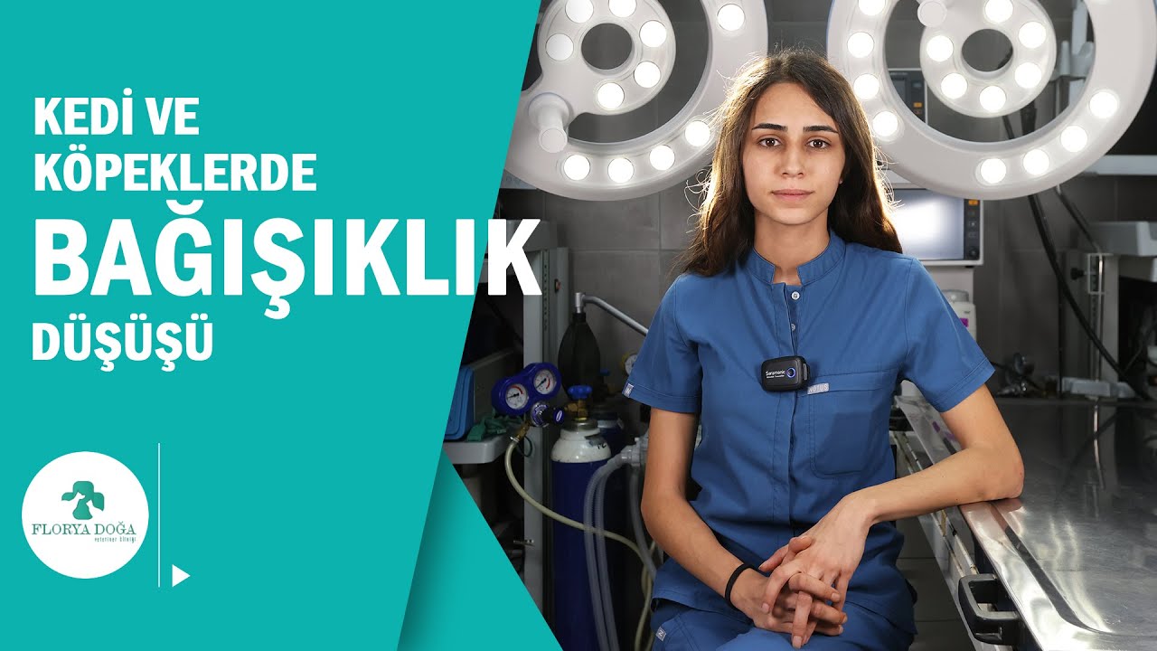 Kedi ve Köpeklerde BAĞIŞIKLIK