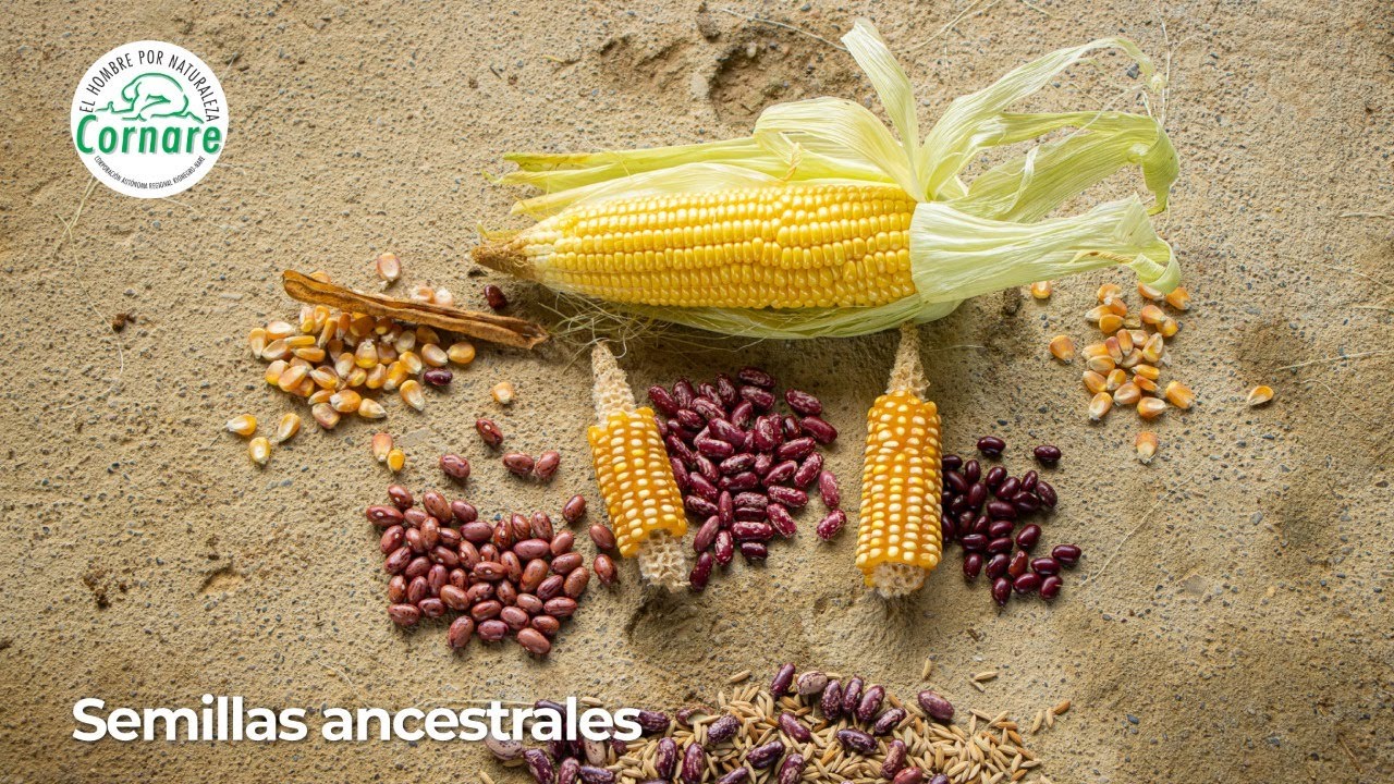 Semillas ancestrales