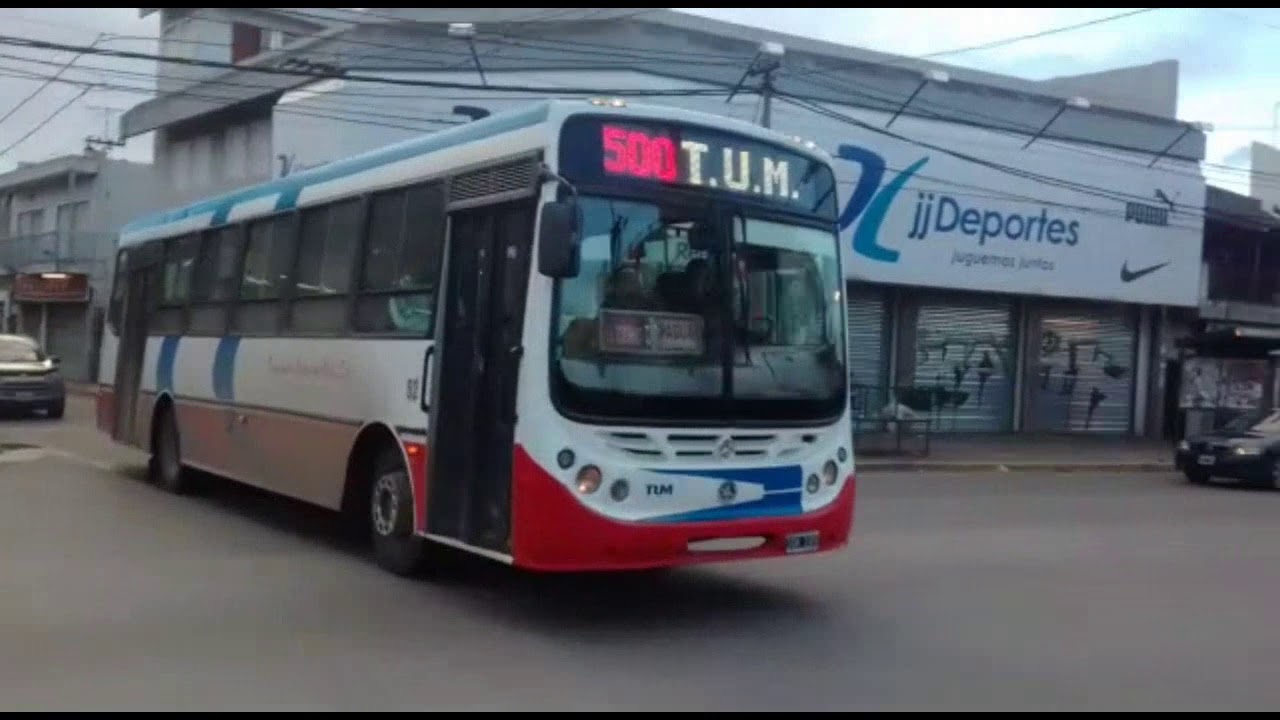 Compilación de Colectivos Por Libertad Parte 2