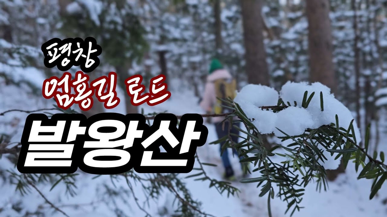 ❄️ 걸어서 올라가는 발왕산 눈꽃 산행/ 엄홍길 로드/ 하산은 케이블카 ❄️