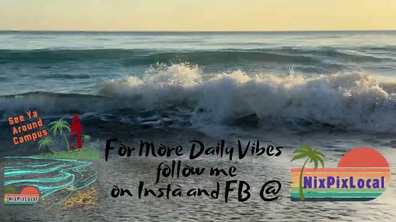 Daily Jupiter Beach Vibes 2/21/26 ASMR