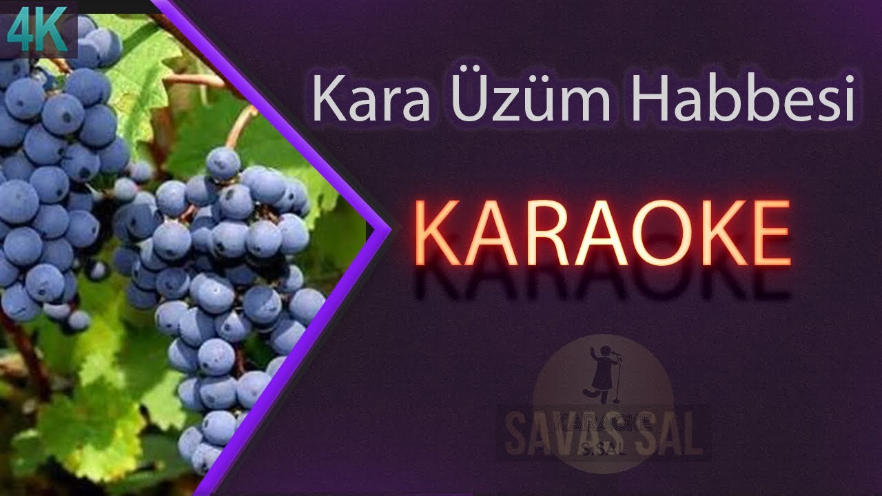 Kara Üzüm Habbesi Традиционная народная песня (КАРАОКЕ)