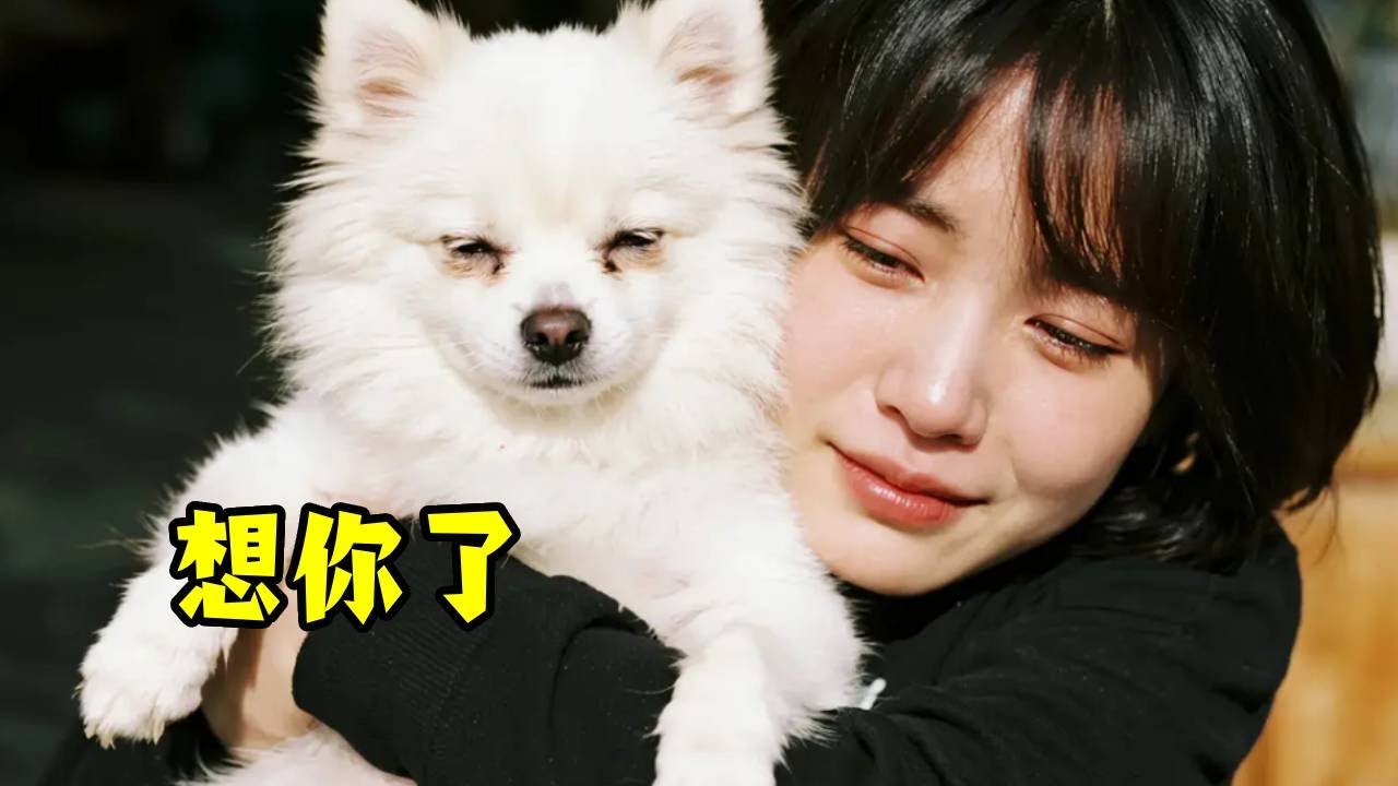 意外捡到一万块钱和没有锁屏手机，失物招领消息挂出，竟然发现了惊天大秘密！#宠物#真实故事