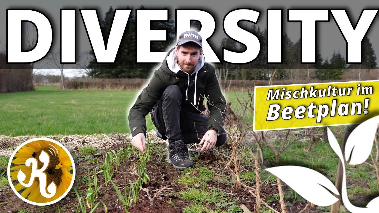 Die Wissenschaft der MISCHKULTUR🌱 - Reiche Ernte dank Artenvielfalt!