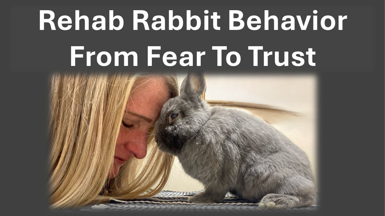 What rabbits teach us about kindness, Episode 9