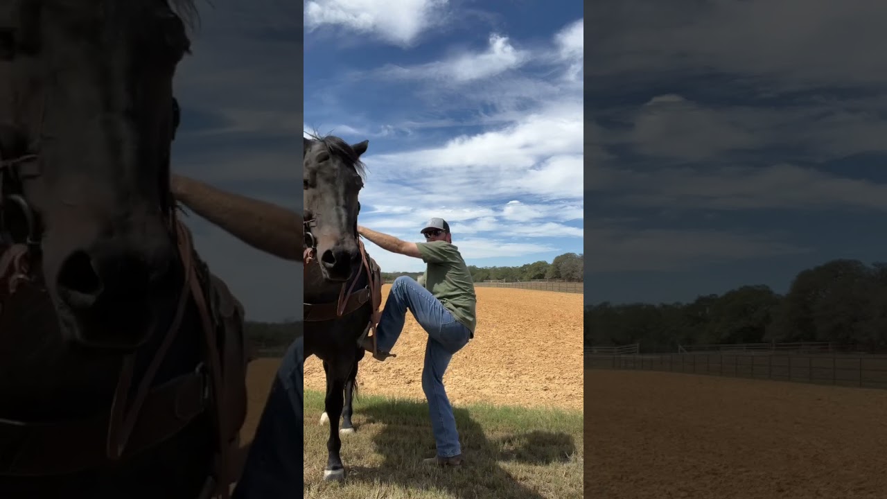 Hoe je op een paard stapt #paardrijden #shorts