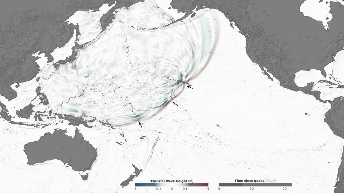 2011 Japan Tsunami Wave Height, the First 22 Hours