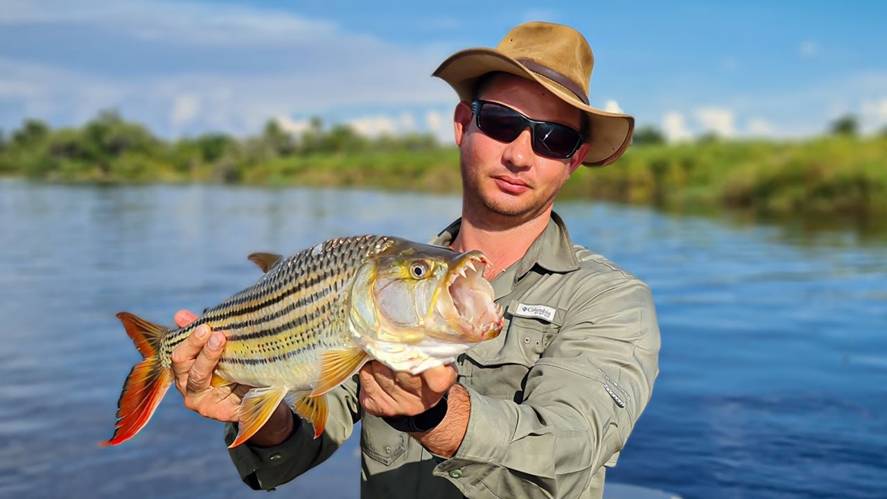 Okavango Delta Adventure Tiger Fishing Breakdowns and Mosquitoes!