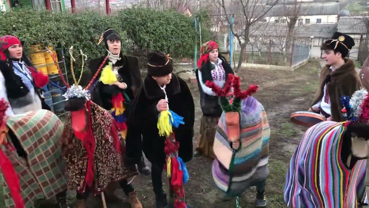 Datini si obiceiuri: Caprele mici din Golaiesti 2022