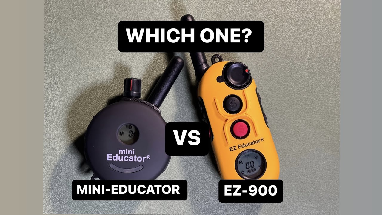 E-Collar Comparison (EZ900 vs ET300) With Patriot K9 Training