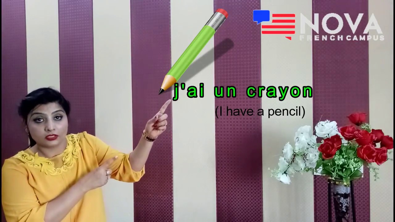 I have sentences in French by Nova French Campus, Amritsar