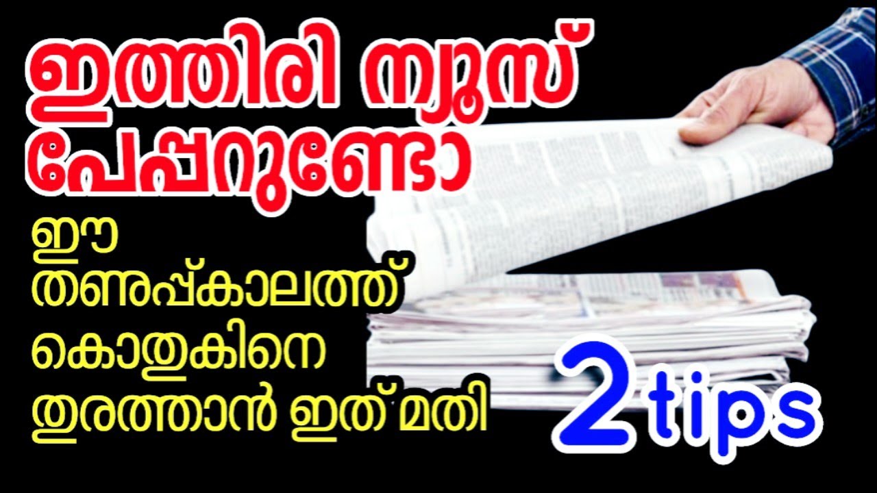 തികച്ചും നാച്ചുറലായി കൊതുക് നിവാരണി വീട്ടിൽതന്നെ ഉണ്ടാക്കാം | Homemade natural mosquito repellent