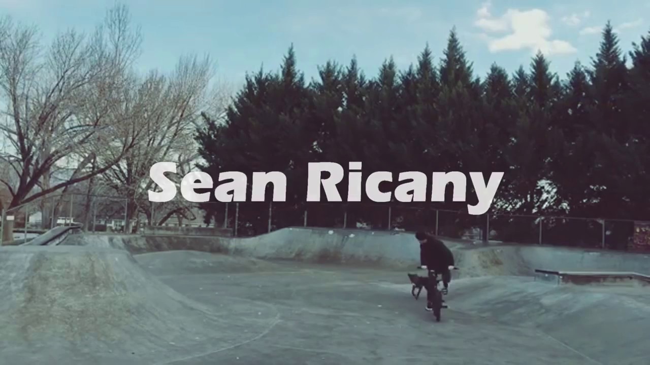 Sean Ricany