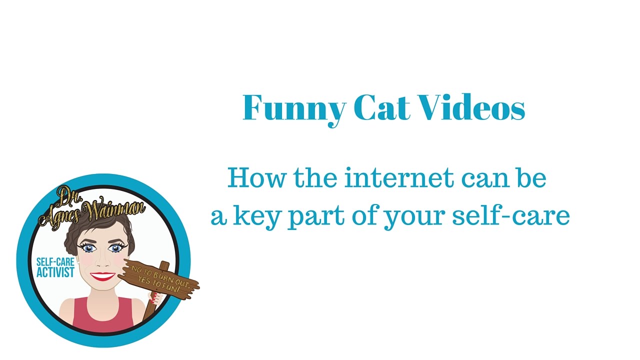 Funny Cat videos as self-care