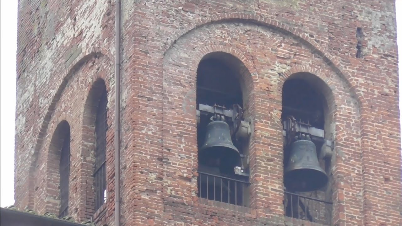 Campane di Fucecchio (FI) - Collegiata di San Giovanni Battista e Abbazia di San Salvatore, v.343