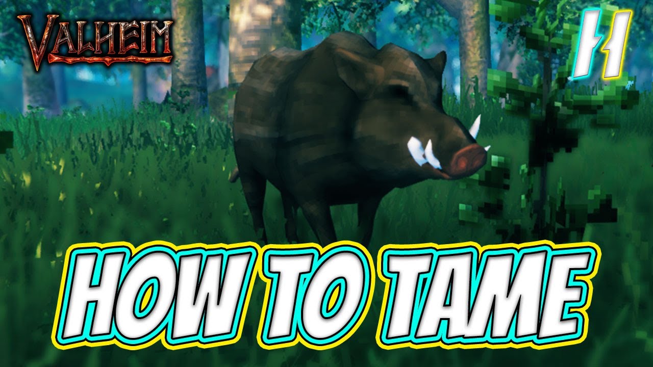 How to Tame a Boar