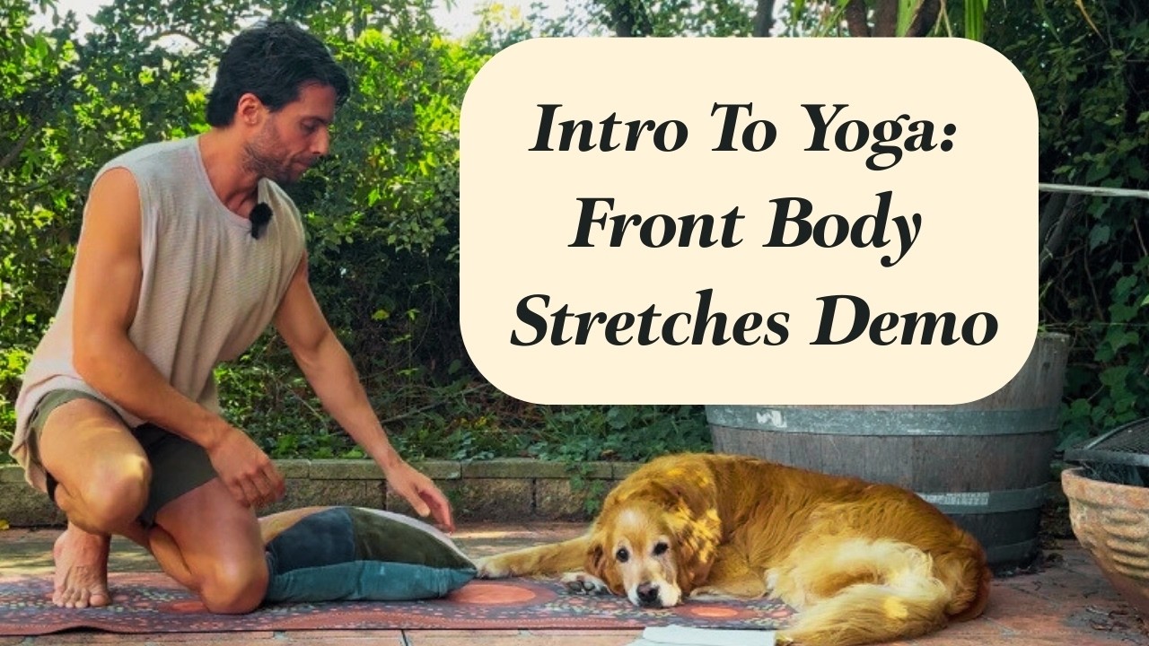 Introduction To Yoga: Front Body Stretches Demo