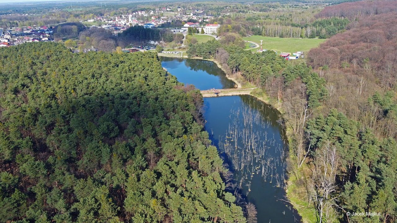 Złoty Potok, Rezerwat 
