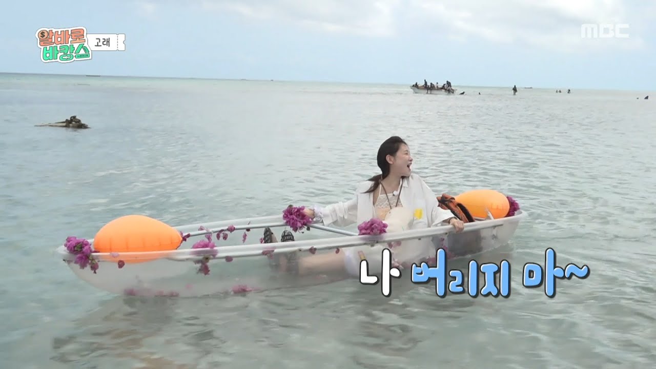 [알바로 바캉스] 돌고래 만나러 GO😆 다친 아영이를 살뜰히 챙겨 배에 태우는 알바즈💪, MBC 251210 방송