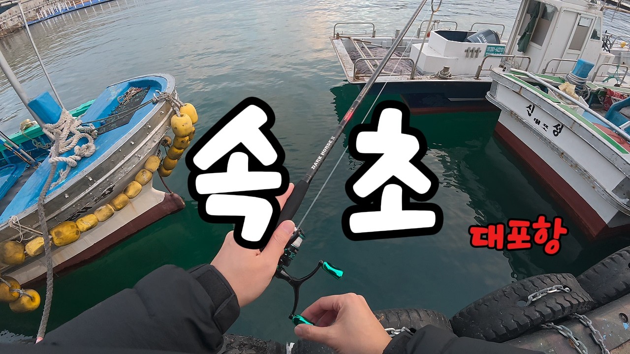 속초 대포항 짬낚시, 이것만 조심하세요! (feat. 미역 괴물 & 똑똑한 물고기)