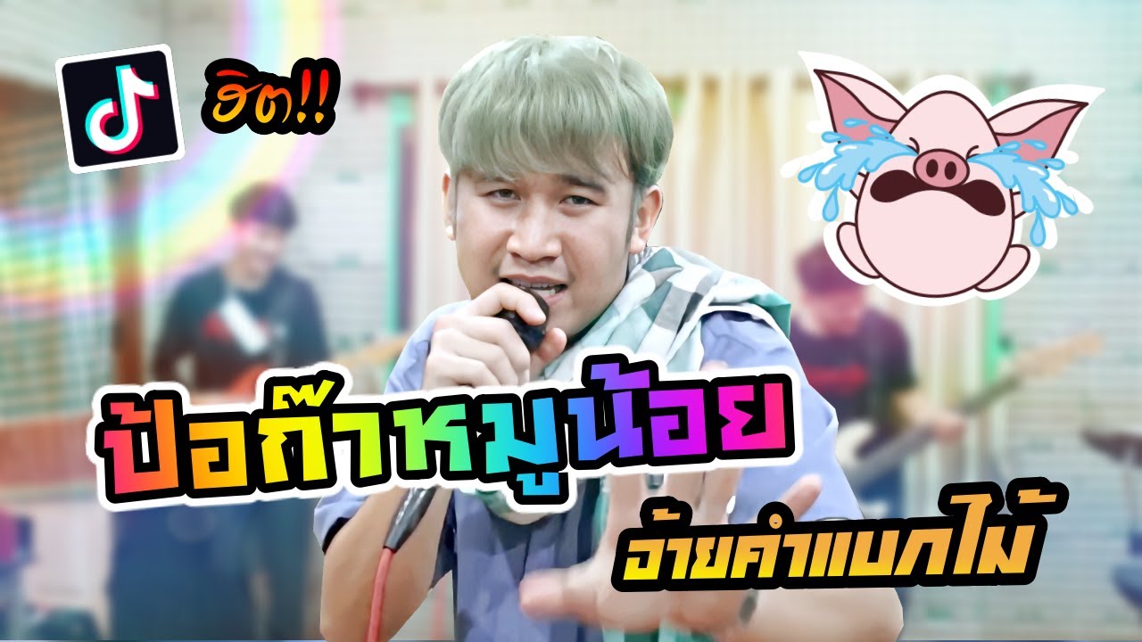 ป้อก๊าหมูหน้อย - ออด ไพศาล 【 Cover อ้ายคำแบกไม้ 】