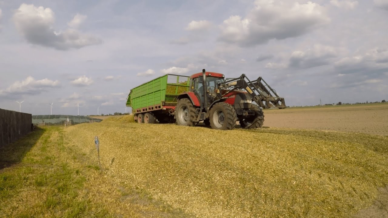 🌽Kukurydza 2023🌽Gr Reszel🌽Podjazd na Pryzme🌽Agro Wlkp