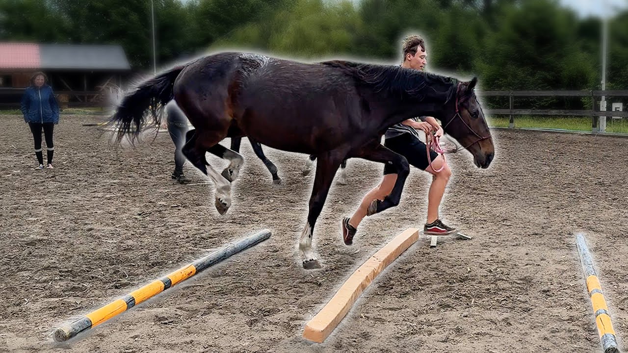 PRIMA VS DRĄŻKI | Zaczynam porządki | Konie boją się burzy?