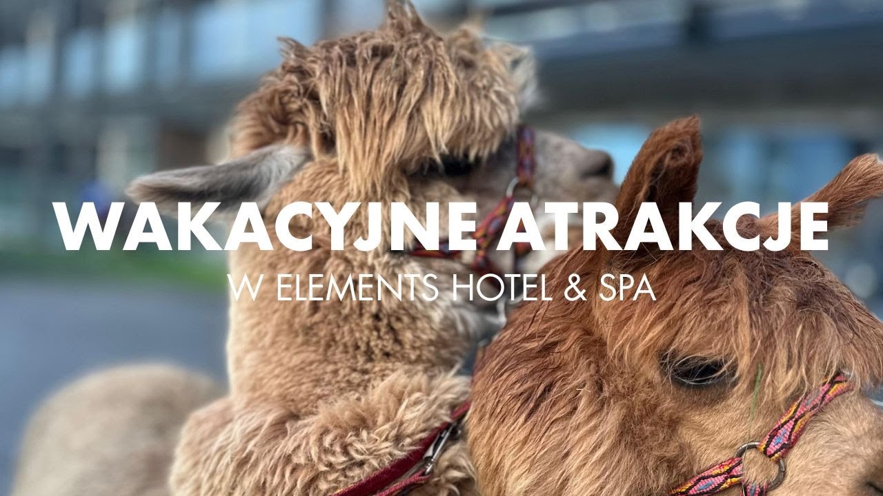 Wakacje Pełne Atrakcji w 5* ELEMENTS HOTEL & SPA ⛱