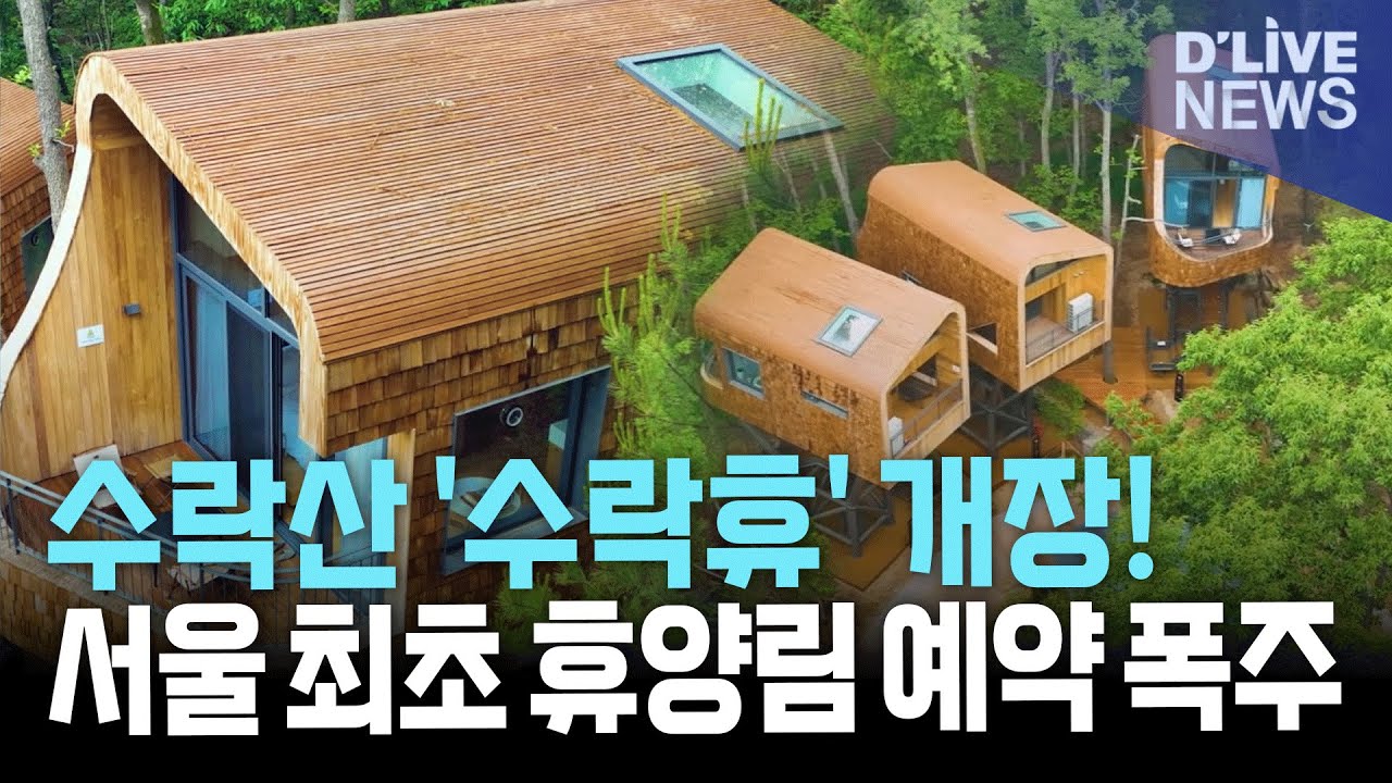 노원구 '수락산 자연휴양림' 개장! '미친골'의 기적, 서울 최초 휴양림에 예약 폭주!