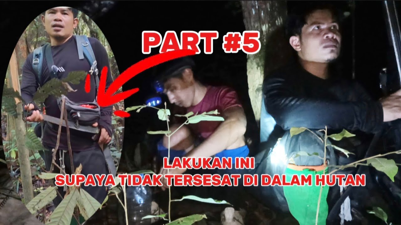 part 5# kami harus meninggalkan sungai tikam menuju kesungai keputih#kayugaharu 