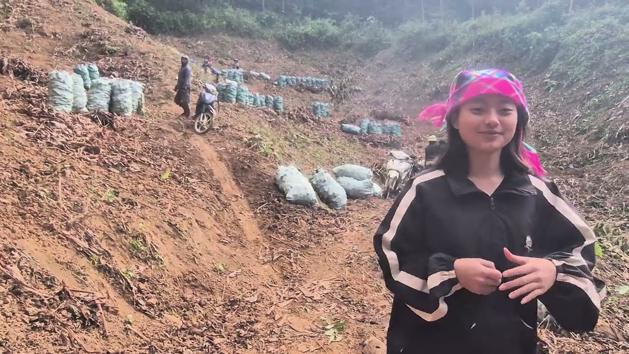 Уголок горной жизни: сбор имбиря и совместная трапеза после рабочего дня.