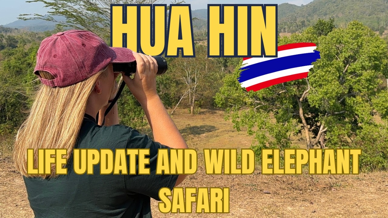 I Almost Gave Up YouTube… Then This Happened in Thailand 🐘