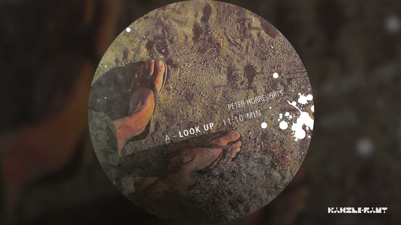 PETER HORREVORTS - Look Up