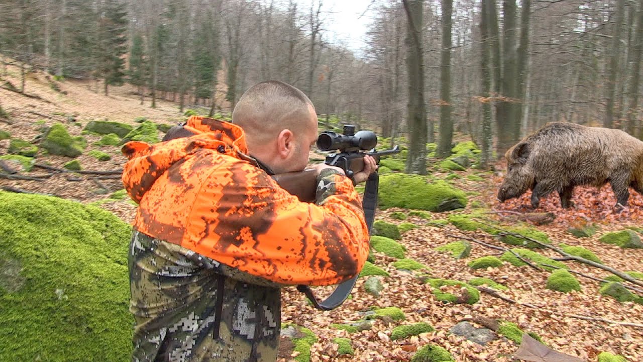 Hunting Serbia-Wild boar hunting | Lov divlje svinje Veliki Jastebac i reprocentar jelena FULL VIDEO