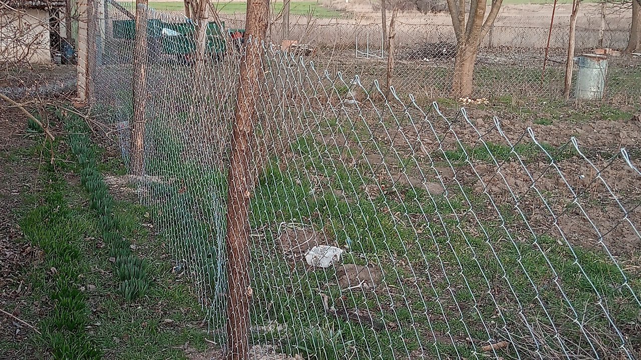 АНТИ ПСЕТО ОГРАДА