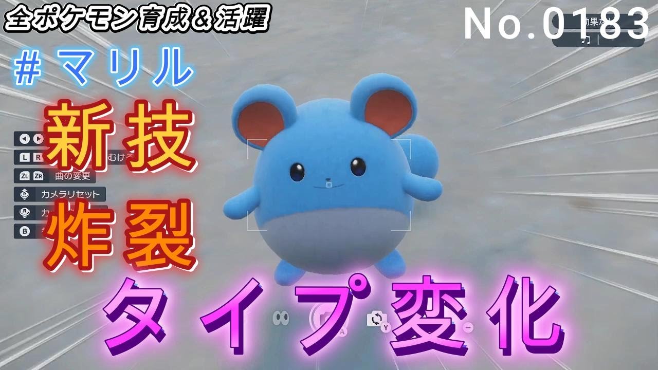 （全ポケ活躍、マリル育成論）低種族値が故に舐められやすいが、コライドンを完封します！！