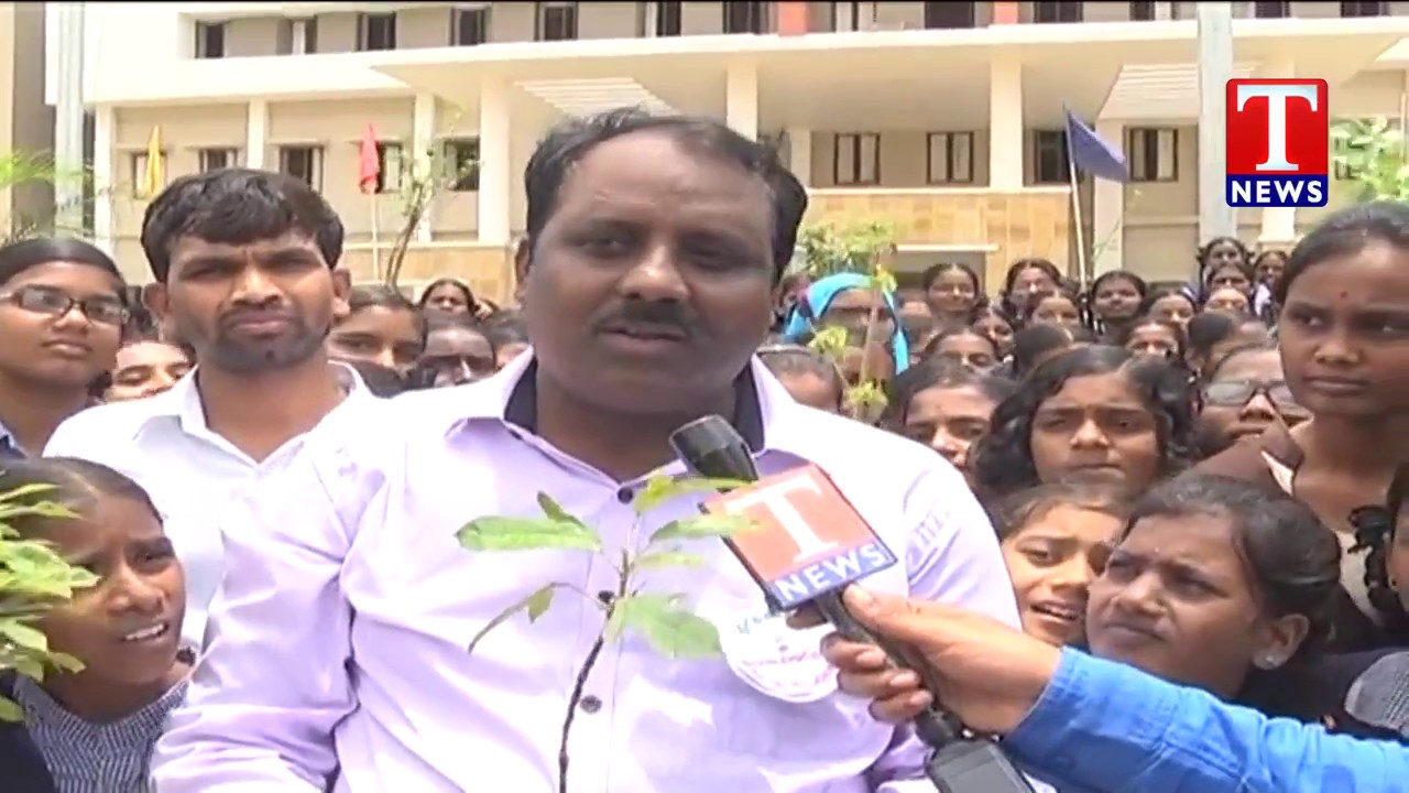 Haritha Haram Program at Educational Hub | Gajwel | T News live Telugu