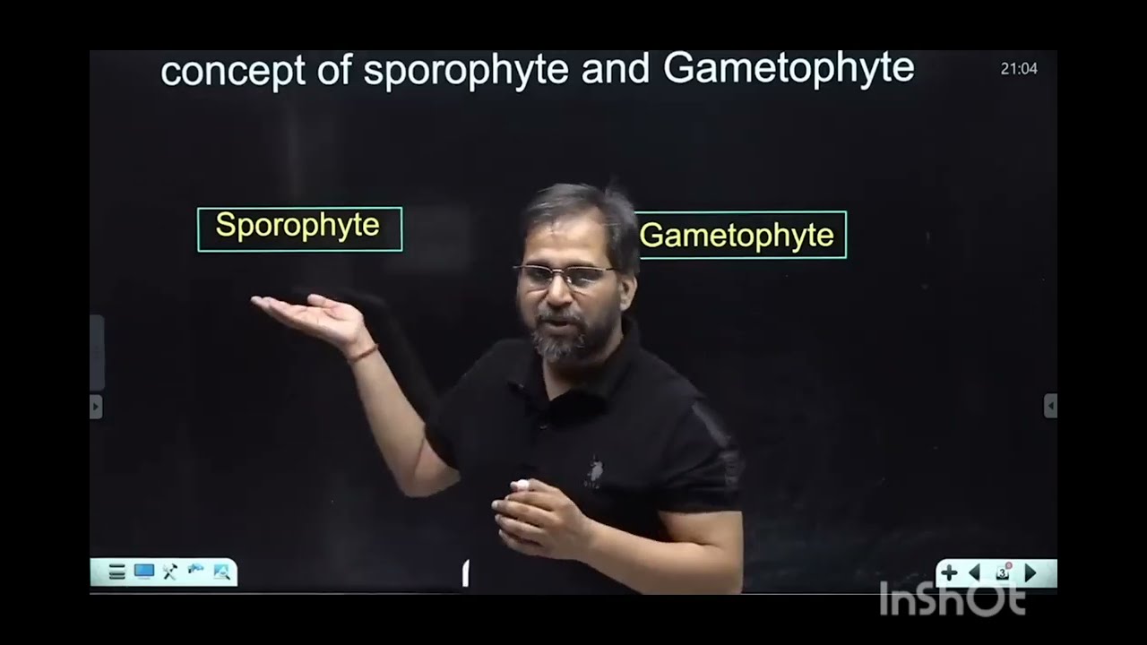 what is sporophyte and gametophyte animation#sankalpbharat