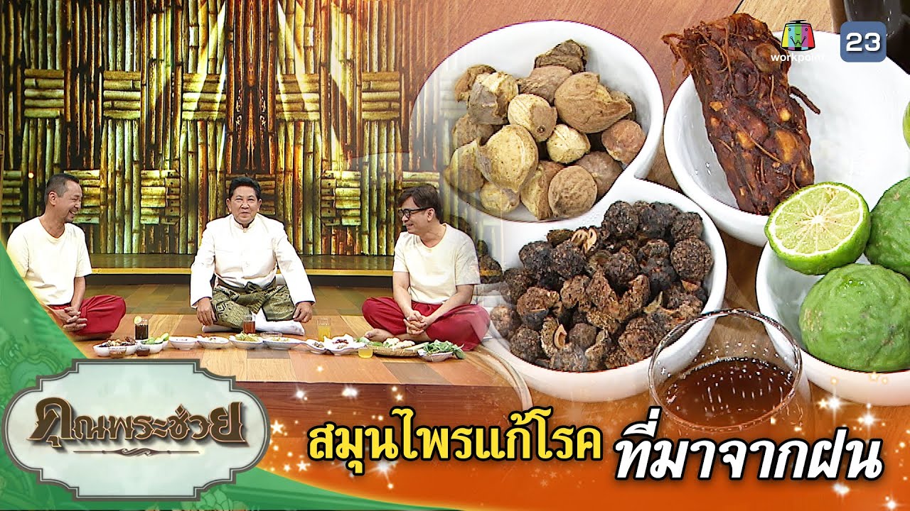 สมุนไพรแก้โรคที่มาจากฝน | คุณพระช่วย | ๖ สิงหาคม ๒๕๖๖