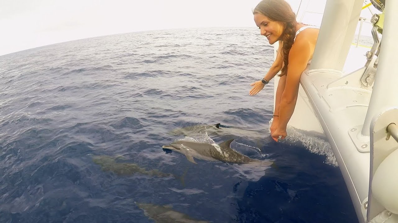 Picking Up Hitch Hikers at Sea (DJs Dives)