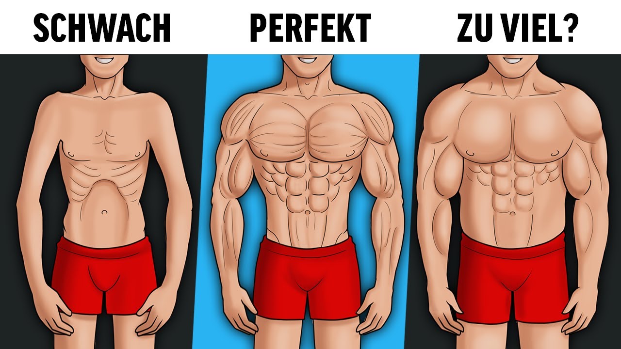 4 Schritte zum PERFEKTEN m&auml;nnlichen K&ouml;rperbau!