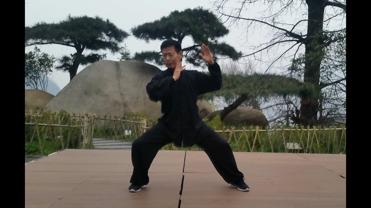 Jesse Tsao front view demo Chen Tai Chi Xin jia New Frame Cannon Fist - 2012