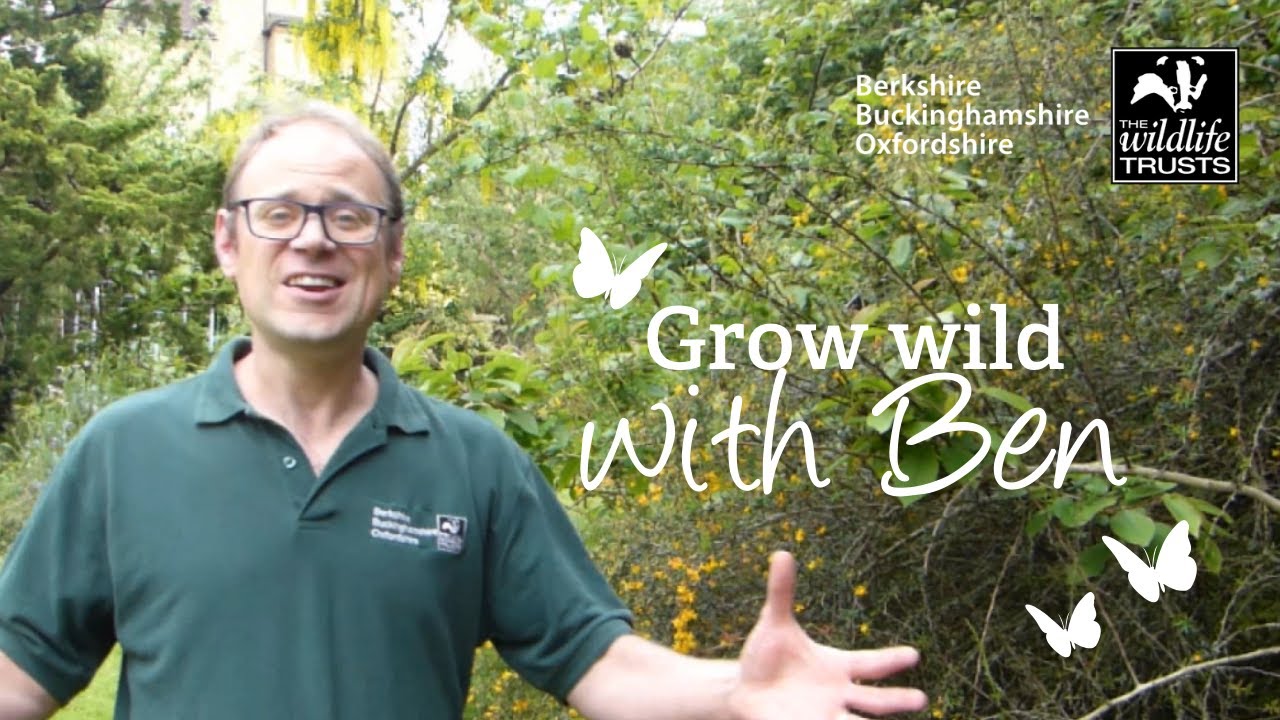 Check in time: Make a bug hotel