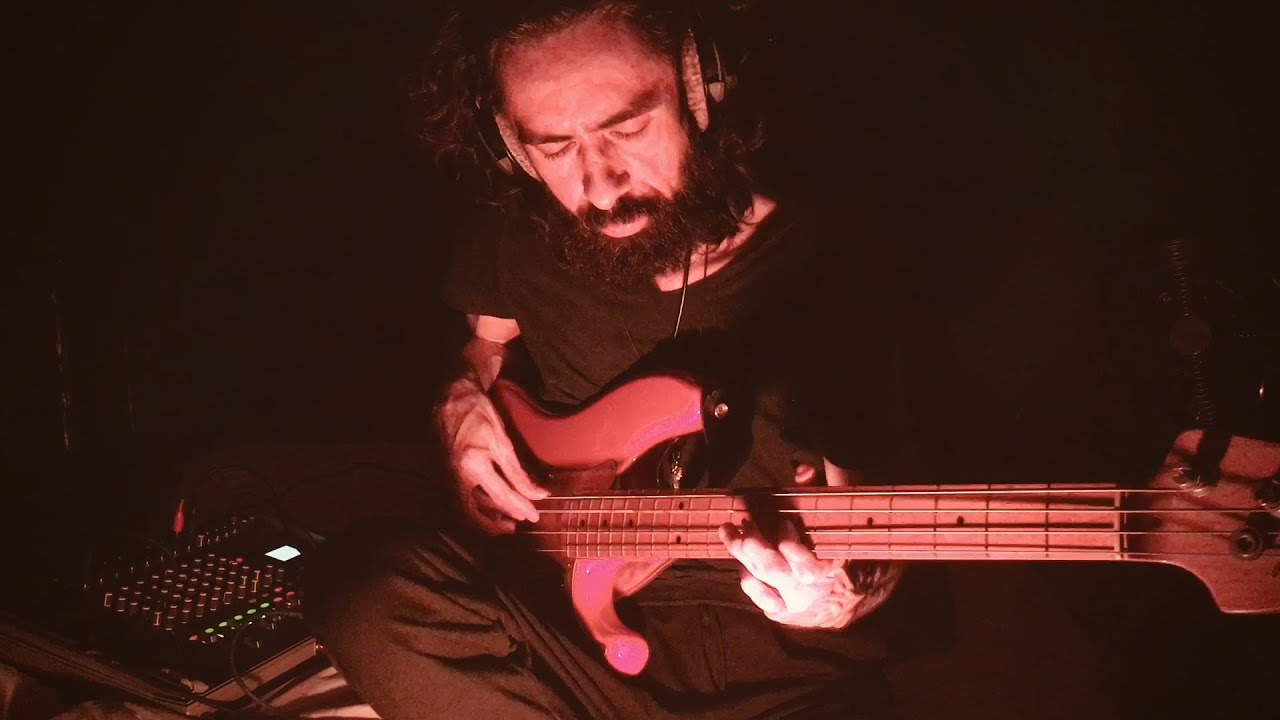 The Look - Metronomy ✨ bass cover w/tabs (The English Riviera)